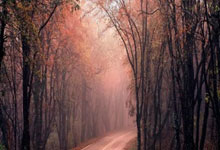 开云体育官网:贪?孙世林联系孙凯踢假球,自己受益14万,“仅”付孙凯2万.