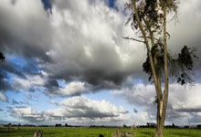 开云体育官网:曼城被指控财务违规?哈兰德:我签了年半长约,说明我不怕.