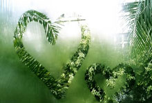 开云体育官网:新华社体育图片每周佳作.