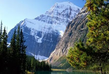 开云体育官网:游泳——全国春季锦标赛第五日赛况.